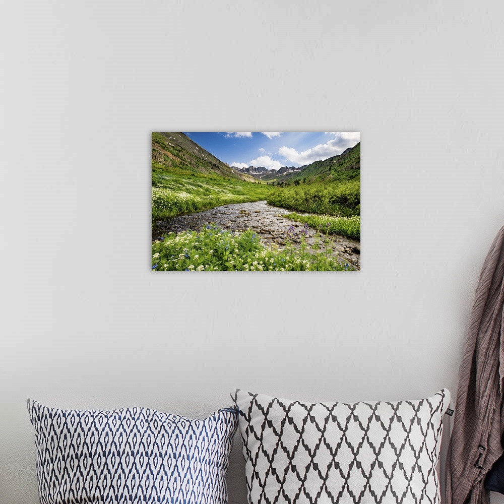 A bohemian room featuring Rushing Stream in a Valley, Gunnison National Forest, Colorado, Summer