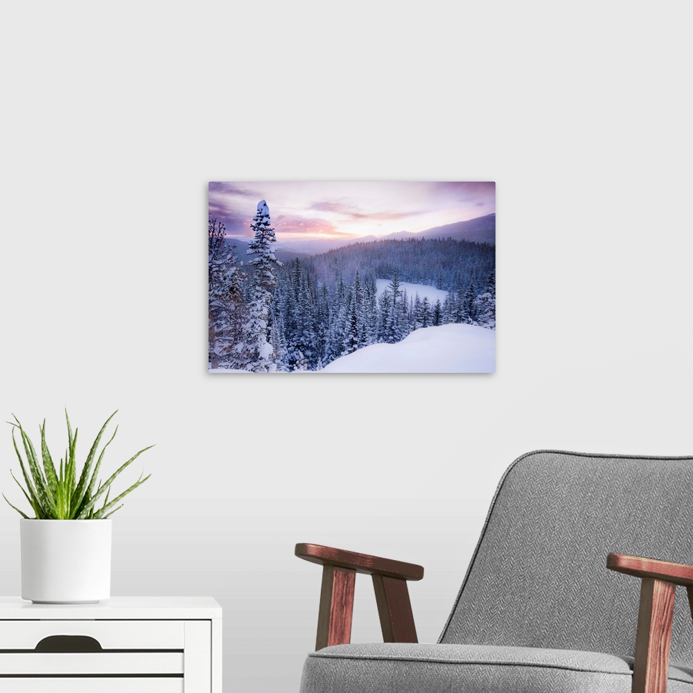 A modern room featuring Nature photograph of snow covered trees and  mountains in Colorado as the sun sets.