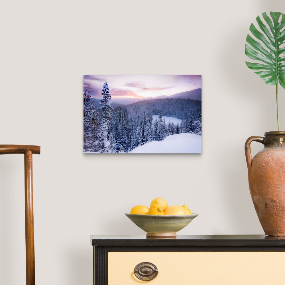 A traditional room featuring Nature photograph of snow covered trees and  mountains in Colorado as the sun sets.