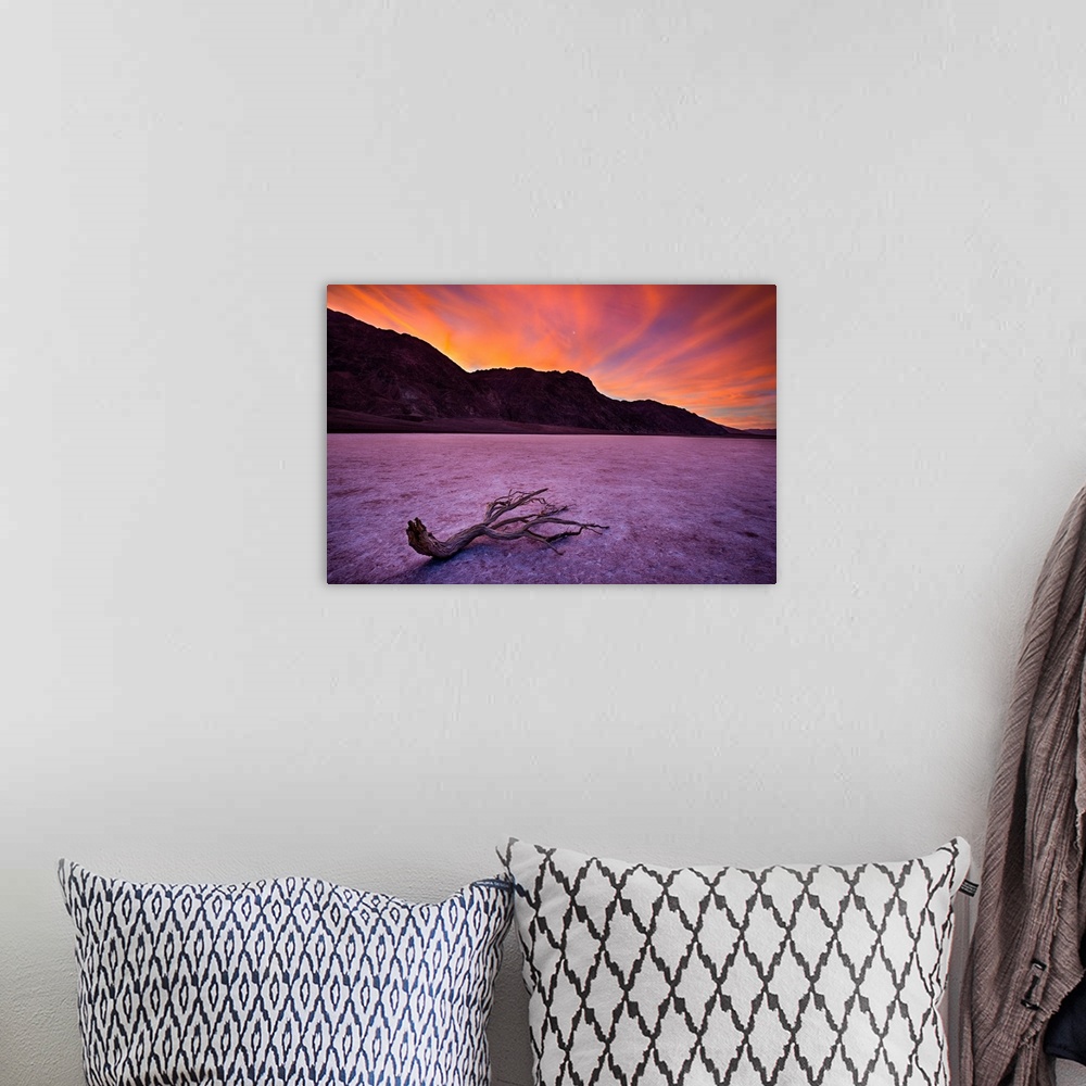 A bohemian room featuring Sun Rise In Death Valley and a Lone Branch, Badwater Basin