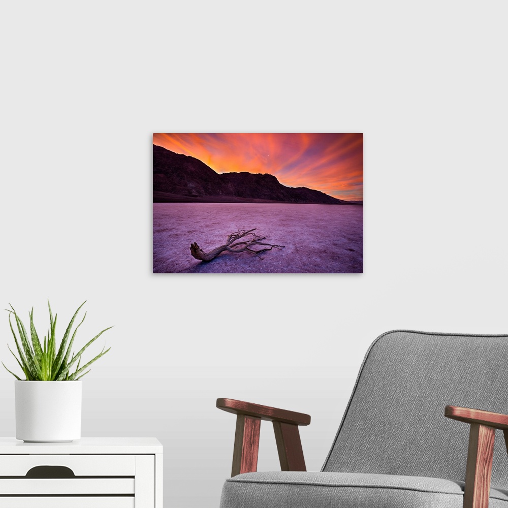 A modern room featuring Sun Rise In Death Valley and a Lone Branch, Badwater Basin