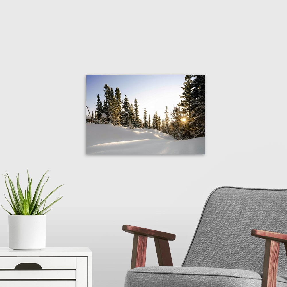 A modern room featuring Sunrise Bursts Through the Trees, Rocky Mountain National Park