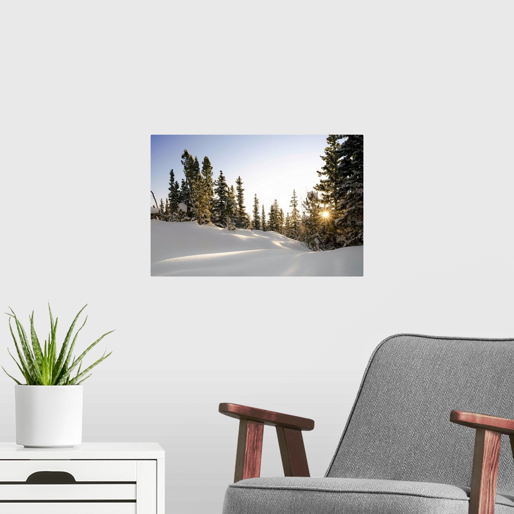 A modern room featuring Sunrise Bursts Through the Trees, Rocky Mountain National Park