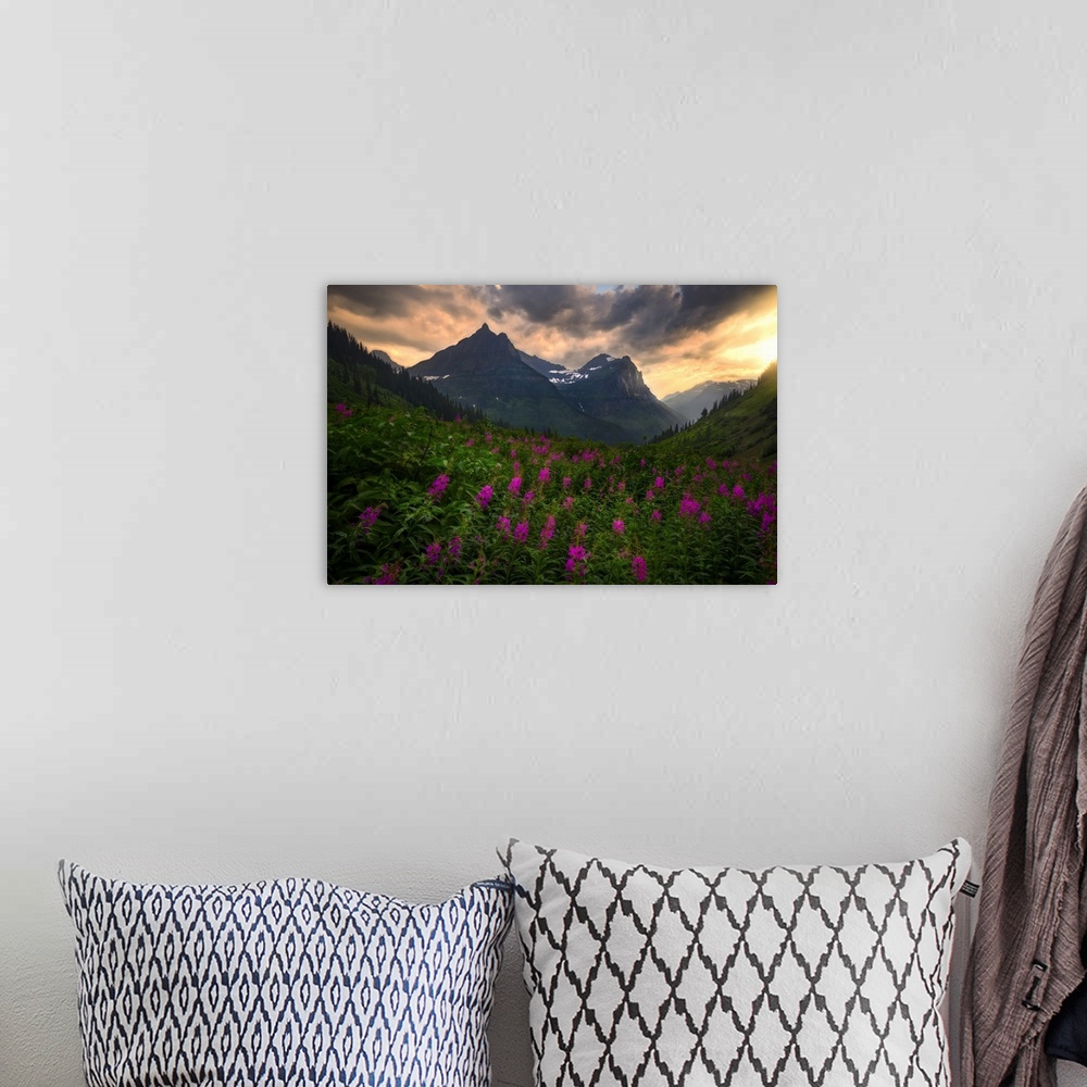A bohemian room featuring Sunset Shines On Bird Woman Falls and Wild Flowers, Glacier National Park