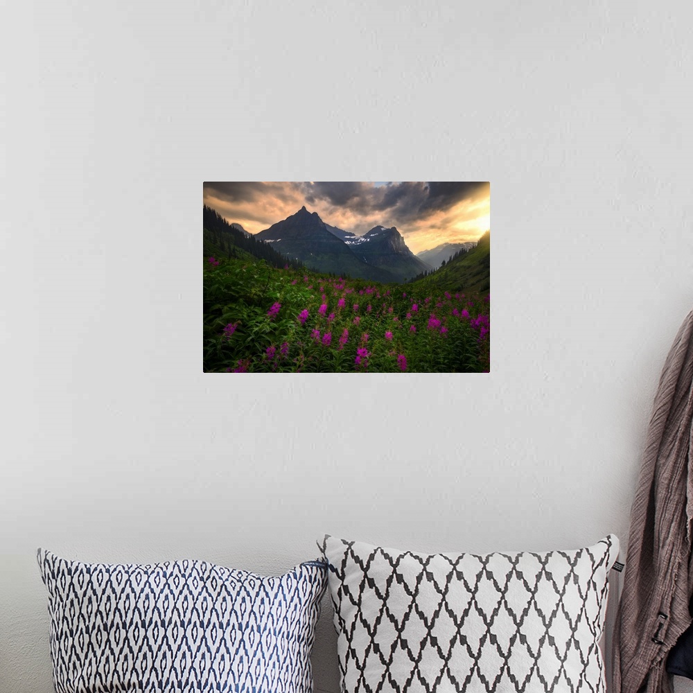A bohemian room featuring Sunset Shines On Bird Woman Falls and Wild Flowers, Glacier National Park