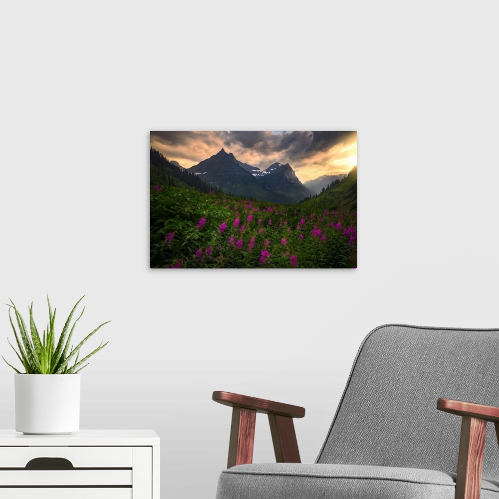 A modern room featuring Sunset Shines On Bird Woman Falls and Wild Flowers, Glacier National Park
