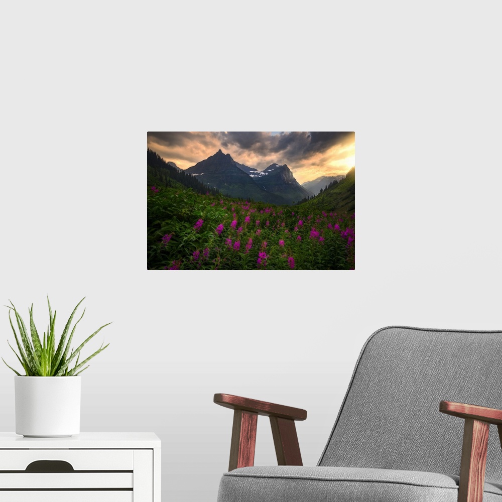 A modern room featuring Sunset Shines On Bird Woman Falls and Wild Flowers, Glacier National Park