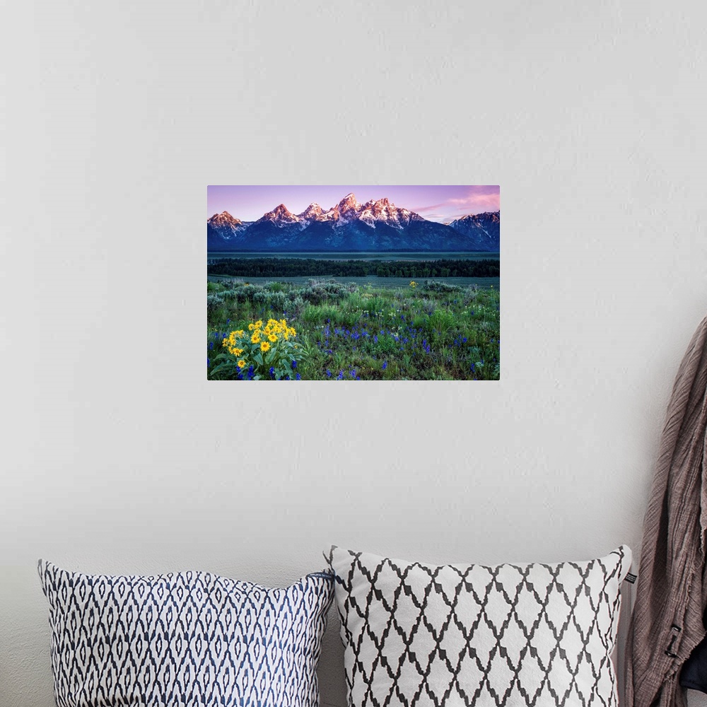 A bohemian room featuring The Grand Tetons at Sunrise, Grand Teton National Park, Wyoming