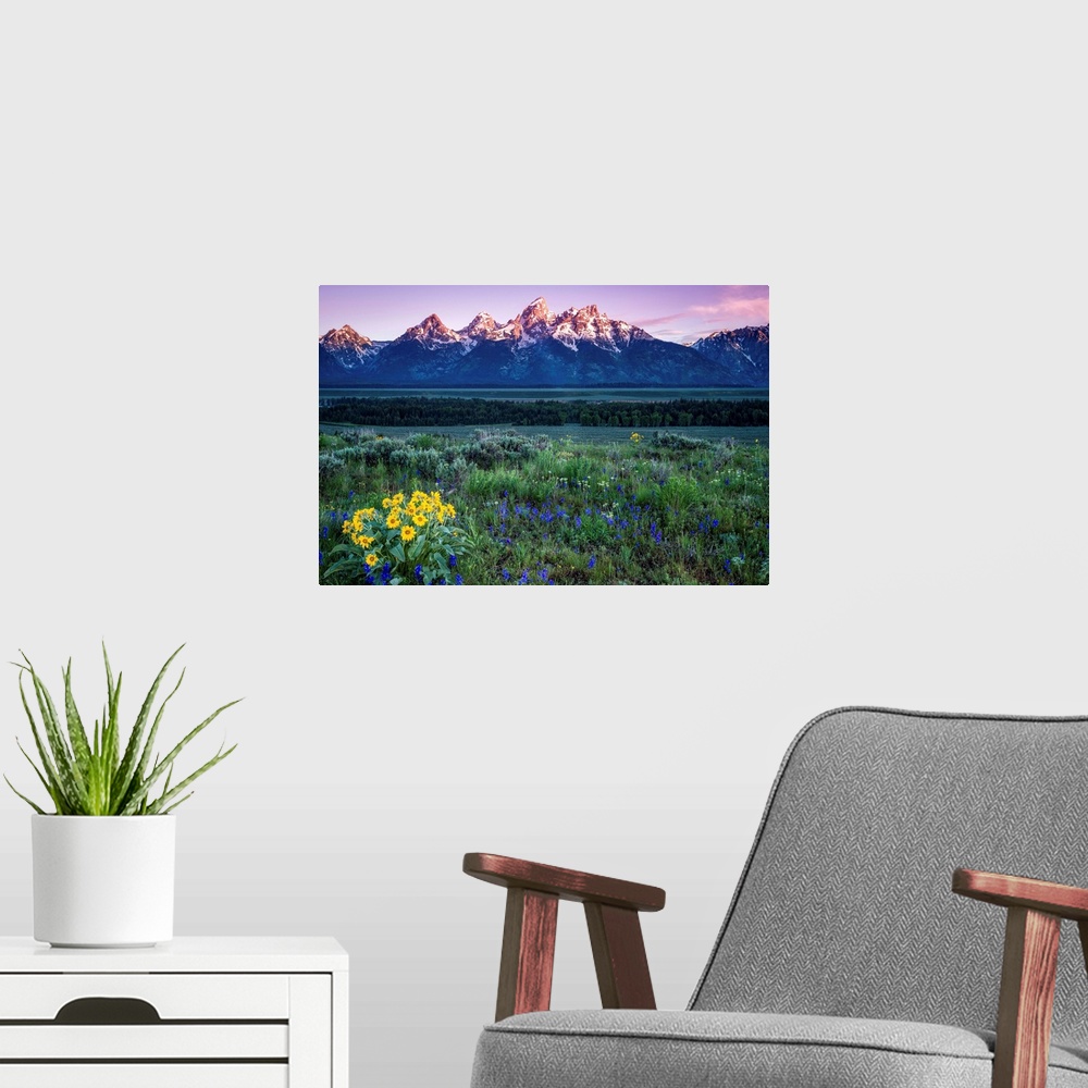 A modern room featuring The Grand Tetons at Sunrise, Grand Teton National Park, Wyoming