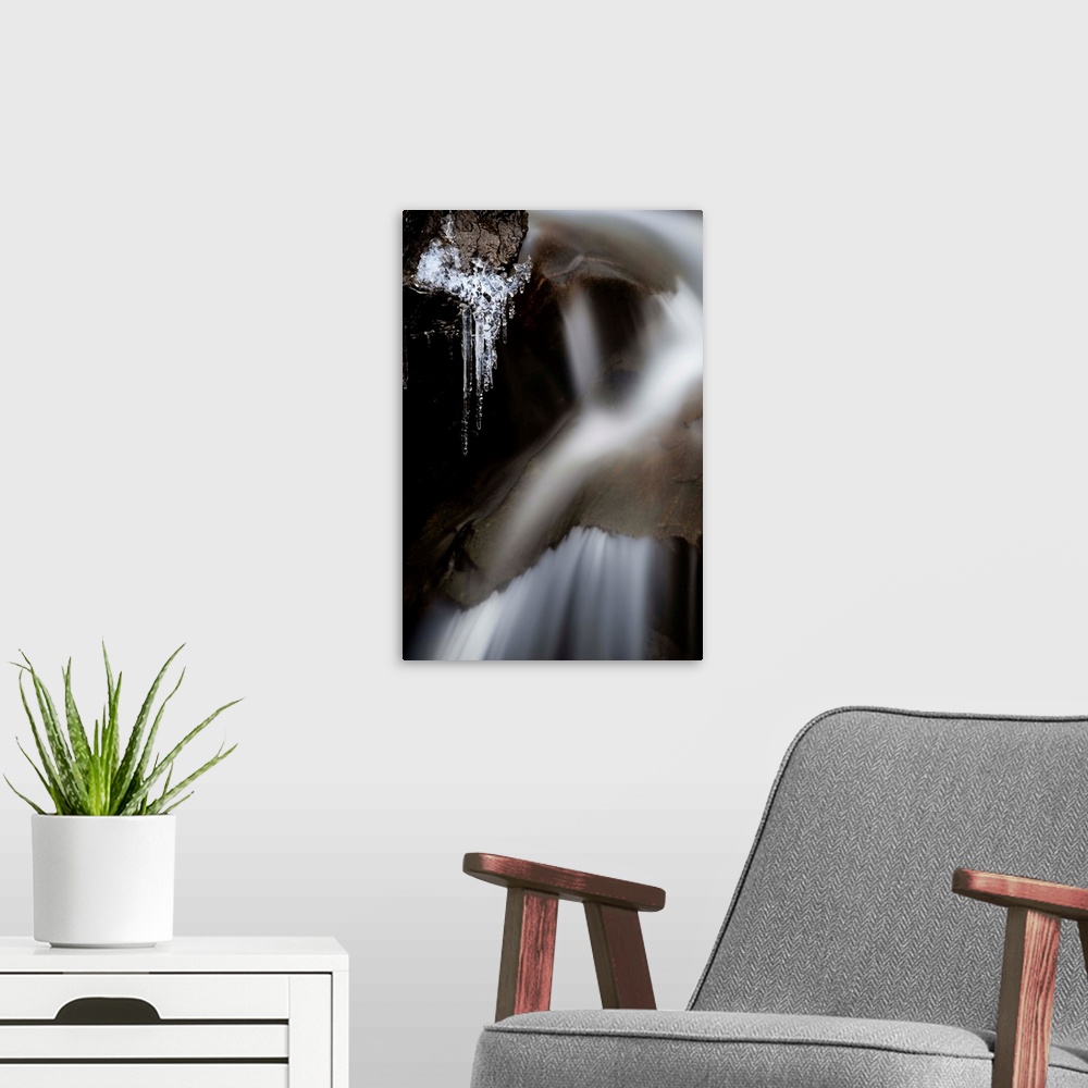 A modern room featuring Water Runs In A Creek As Icicles Form, Colorado Rockies, CO