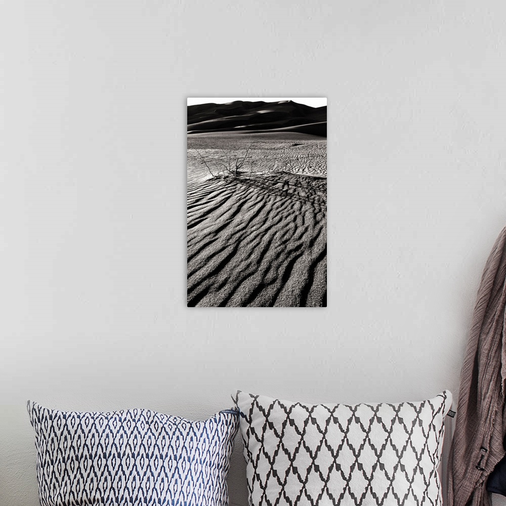 A bohemian room featuring Windswept Sand, Great Sand Dunes National Park and Preserve, Colorado