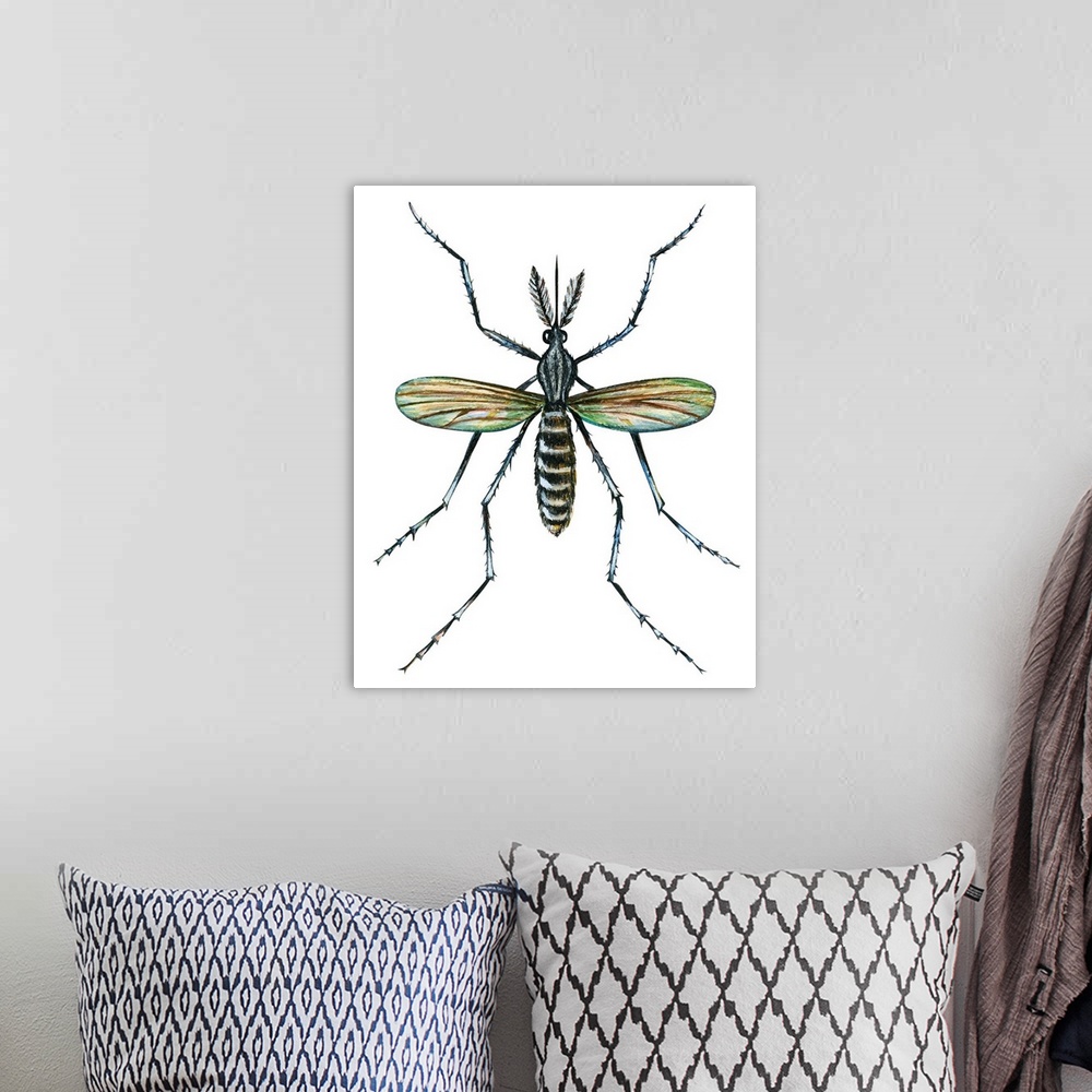 A bohemian room featuring Aedes Mosquito (Aedes Aegypti), Yellow Fever Mosquito