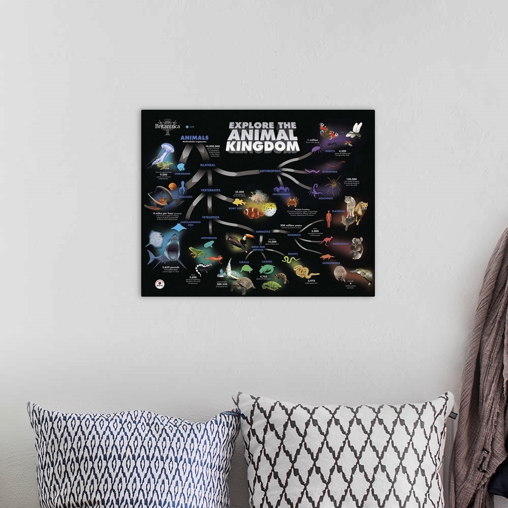 A bohemian room featuring Animal Kingdom Educational Poster