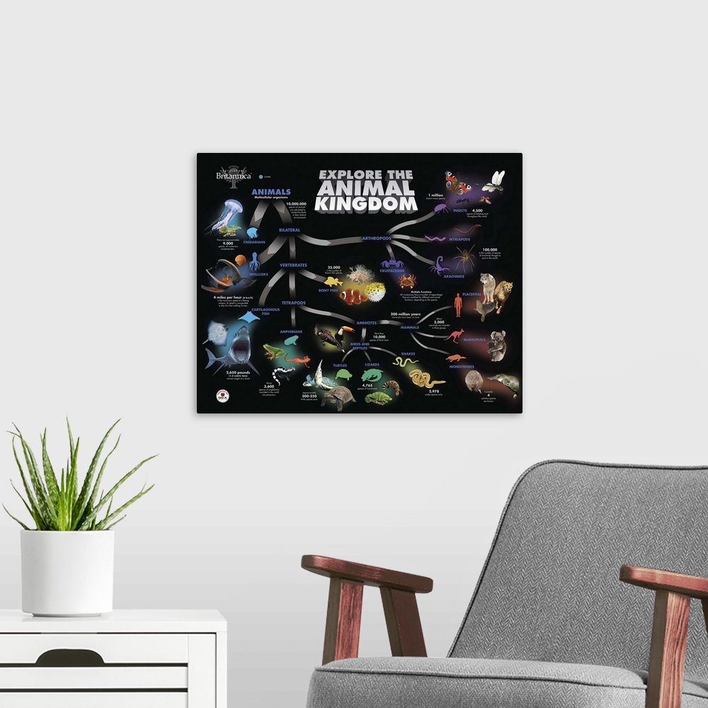 A modern room featuring Animal Kingdom Educational Poster