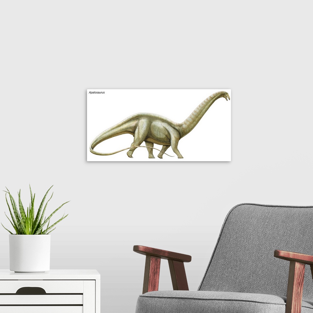 A modern room featuring An illustration from Encyclopaedia Britannica of the dinosaur Apatosaurus.