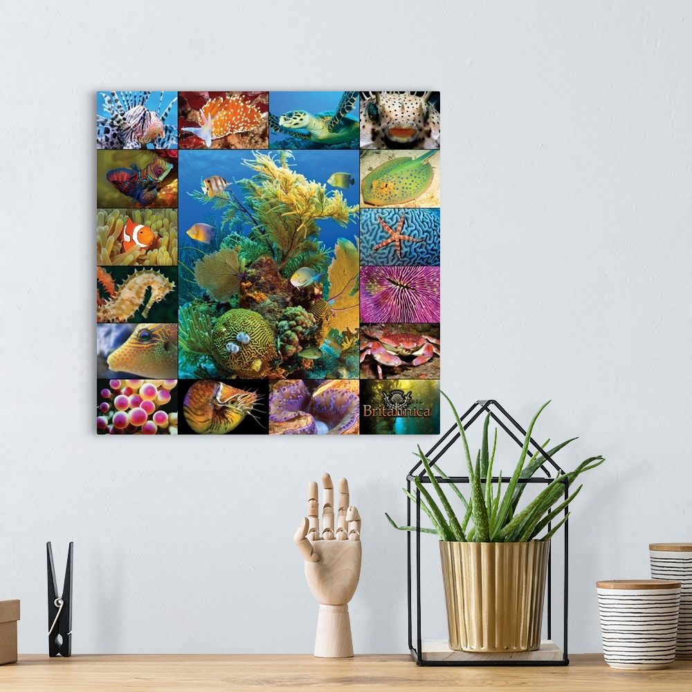 A bohemian room featuring Aquatic Collage