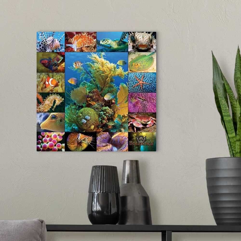 A modern room featuring Aquatic Collage