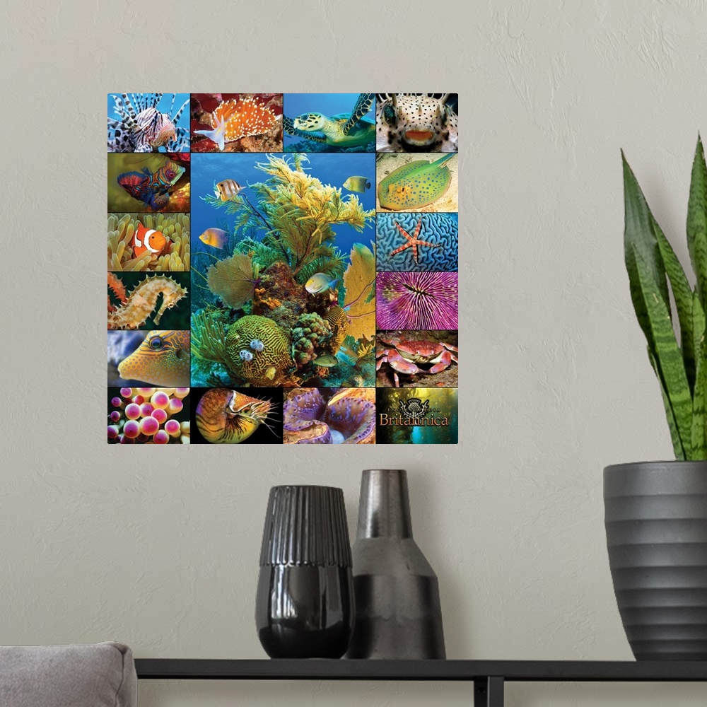A modern room featuring Aquatic Collage