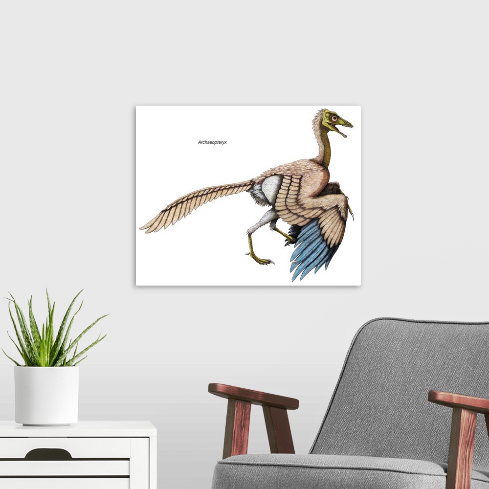 A modern room featuring An illustration from Encyclopaedia Britannica of Archaeopteryx, the first bird, now extinct.