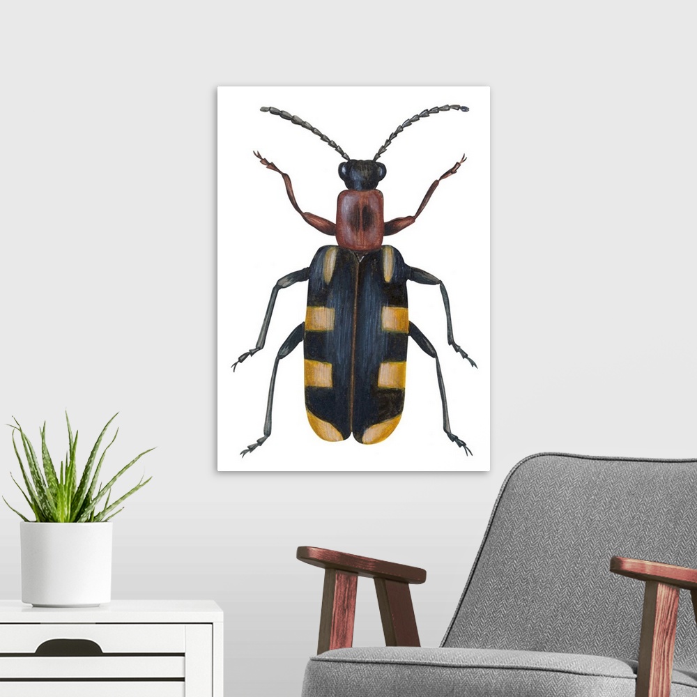 A modern room featuring Asparagus Beetle (Criocerus Asparagi)