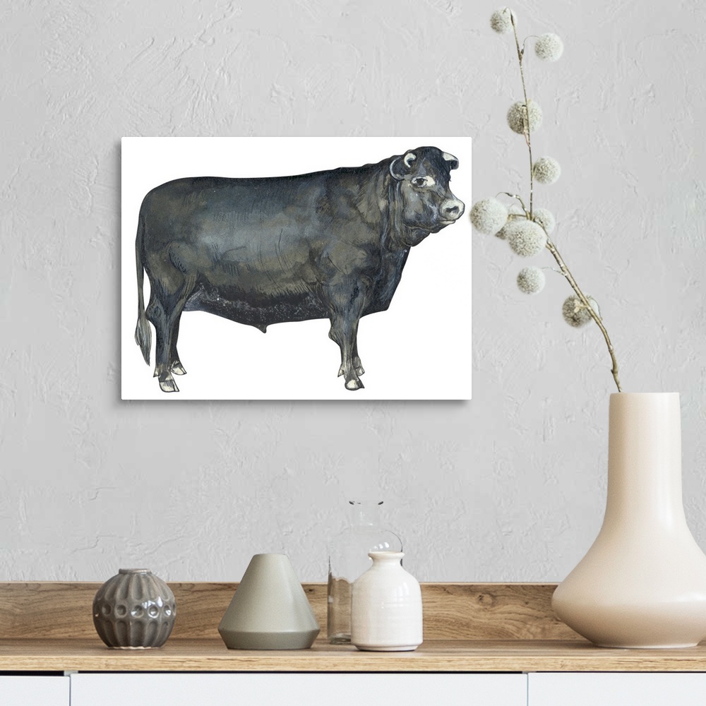 A farmhouse room featuring Beef Cattle (Bos Taurus)