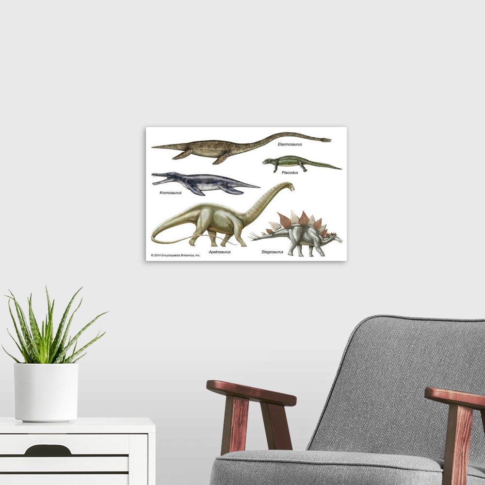 A modern room featuring An educational poster from Encyclopaedia Britannica featuring the different body types of extinct...