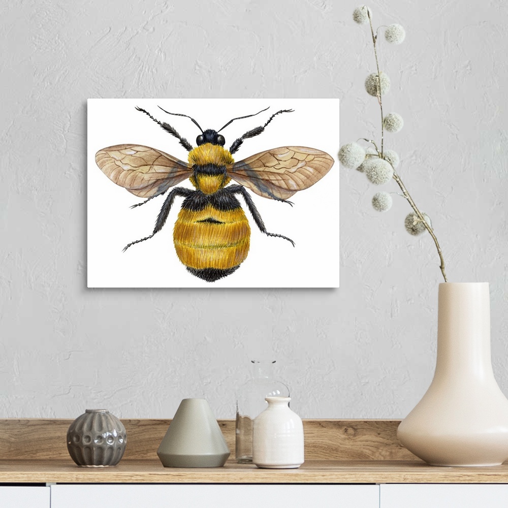 A farmhouse room featuring Bumblebee (Bombus Pennsylvanicus)