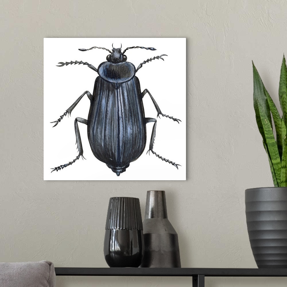 A modern room featuring Carrion Beetle (Silpha Ramosa)