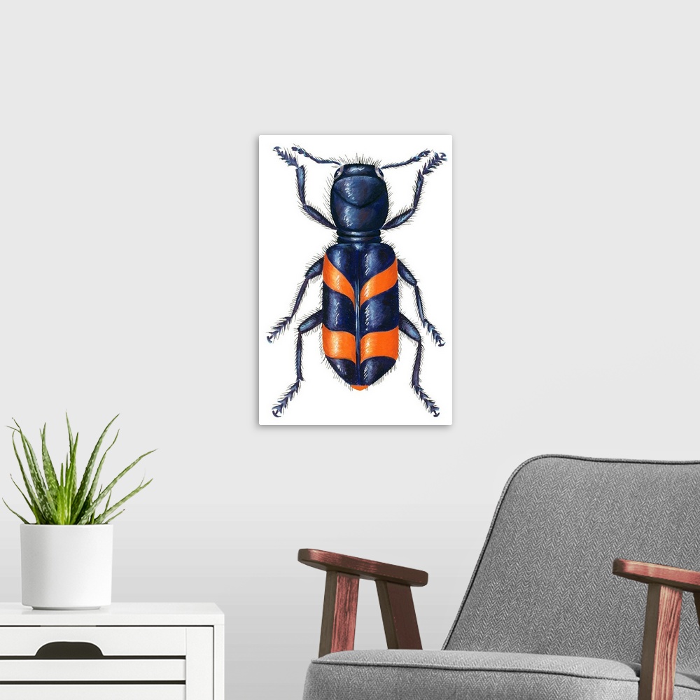 A modern room featuring Checkered Beetle (Trichodes Apiarius)