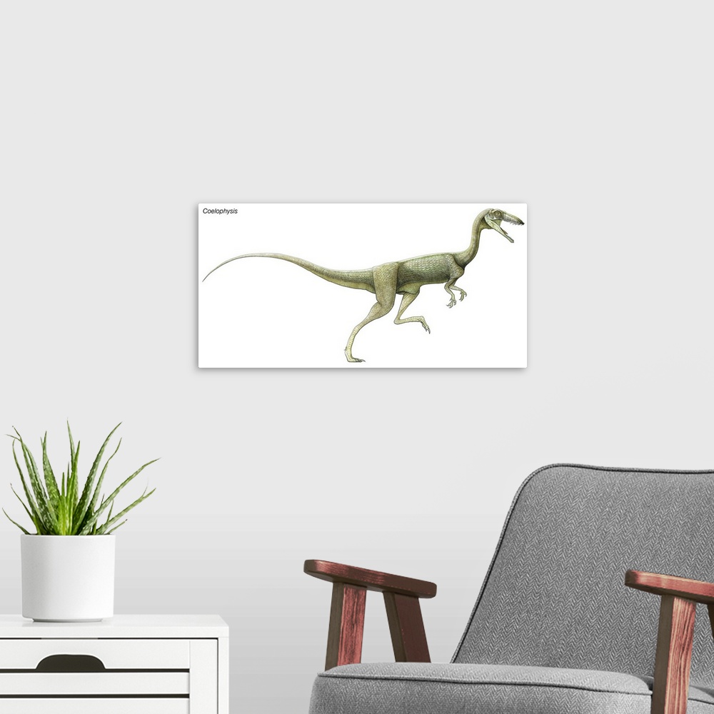 A modern room featuring An illustration from Encyclopaedia Britannica of the dinosaur Coelophysis.