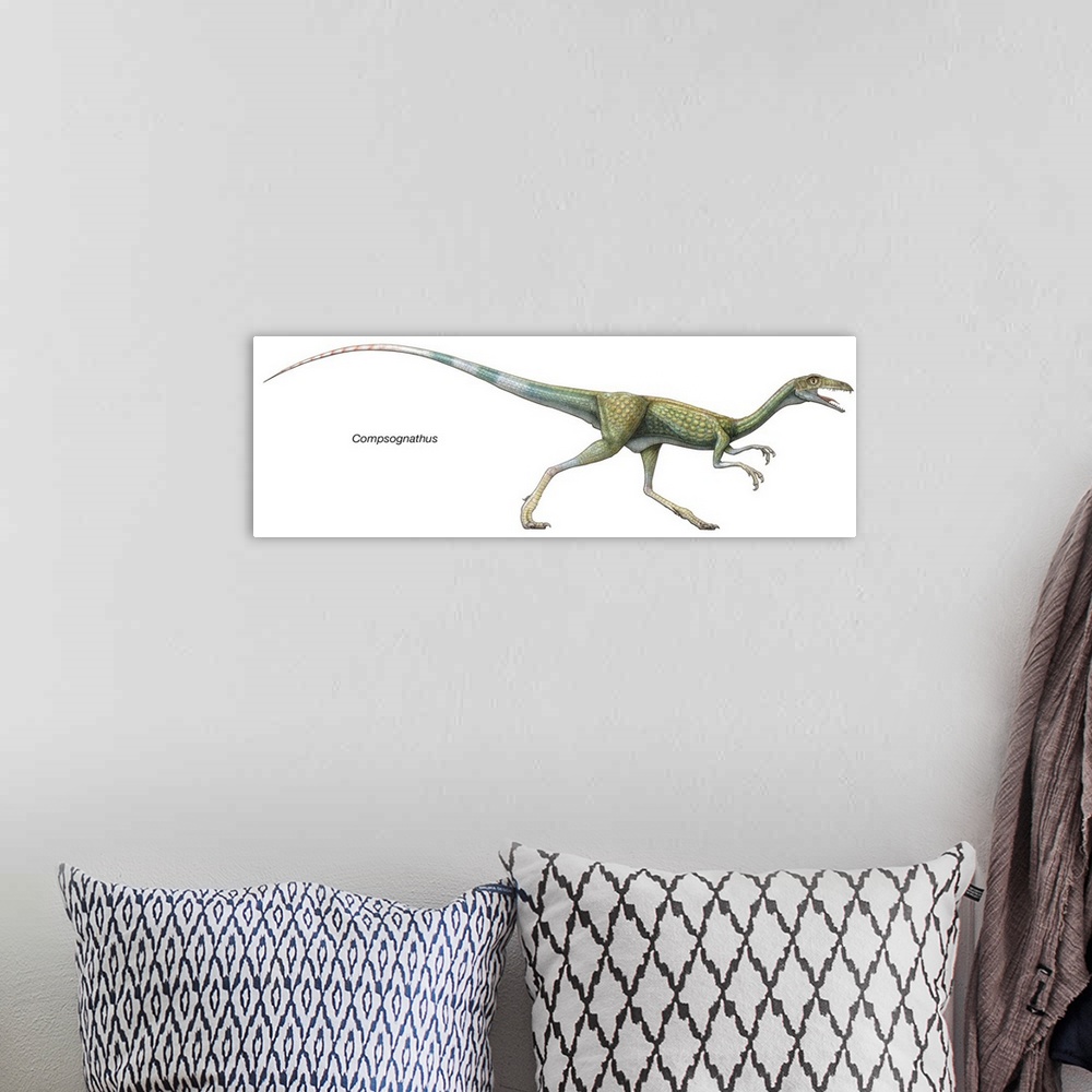 A bohemian room featuring An illustration from Encyclopaedia Britannica of the dinosaur Compsognathus.