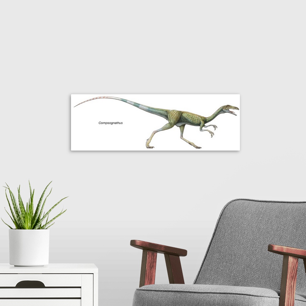 A modern room featuring An illustration from Encyclopaedia Britannica of the dinosaur Compsognathus.