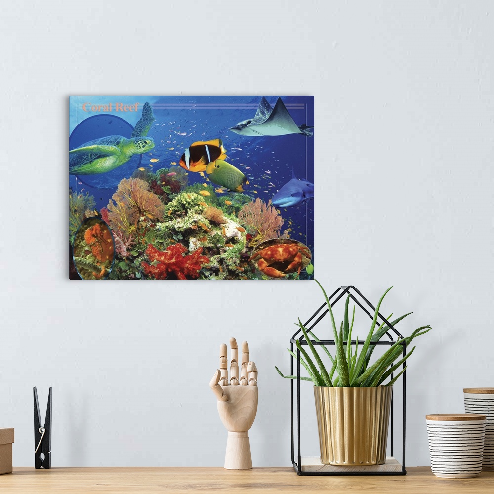 A bohemian room featuring Coral Reef