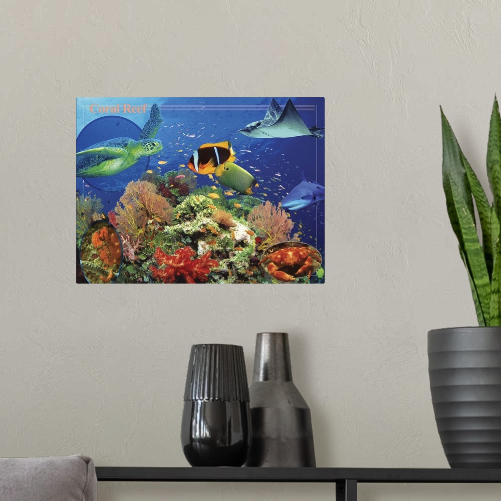 A modern room featuring Coral Reef