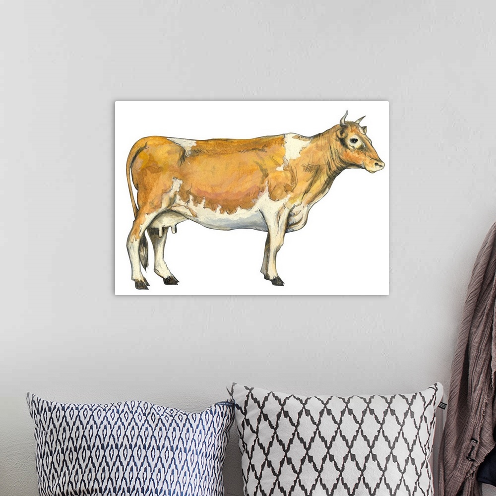 A bohemian room featuring Dairy Cattle (Bos Taurus)