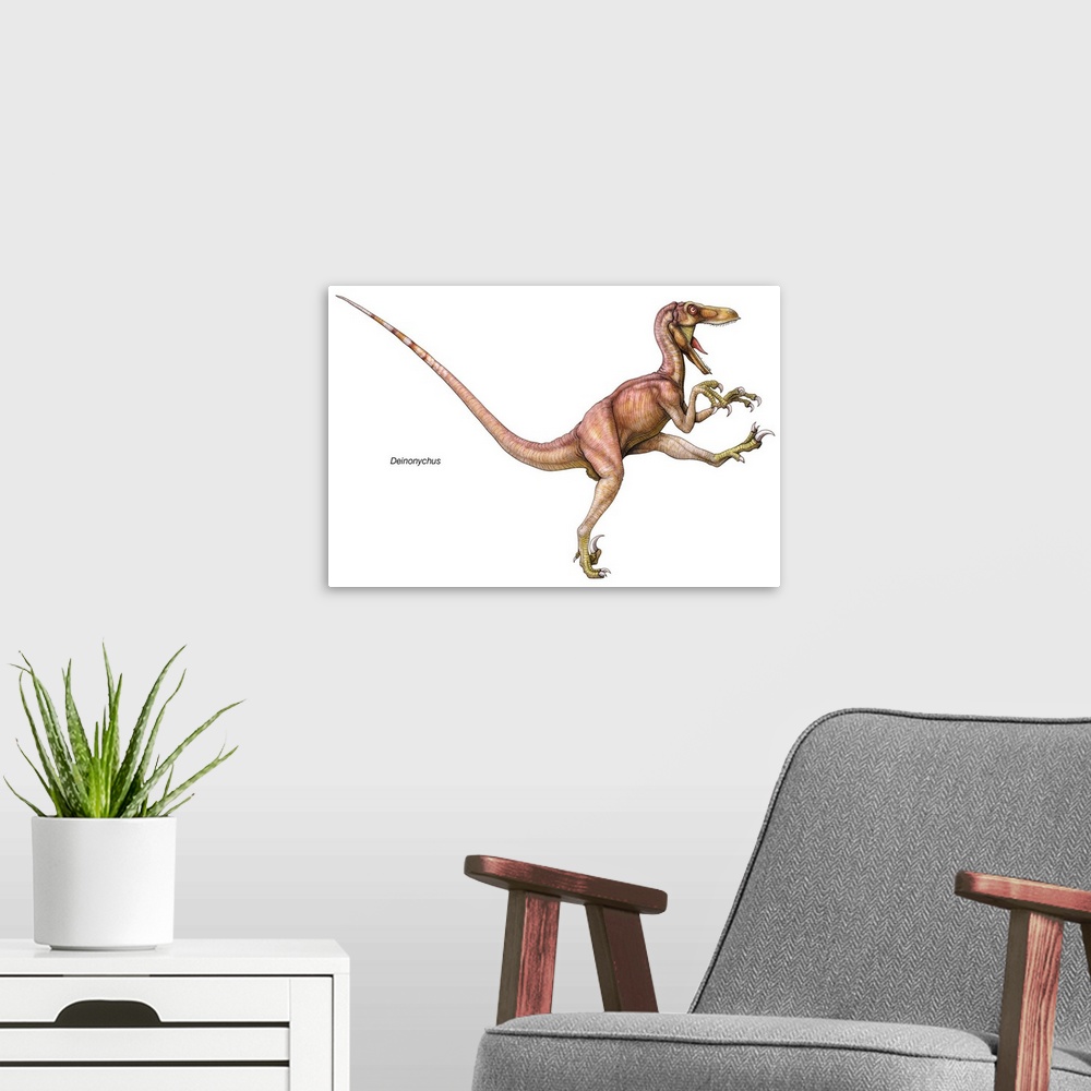 A modern room featuring An illustration from Encyclopaedia Britannica of the dinosaur Deinonychus.