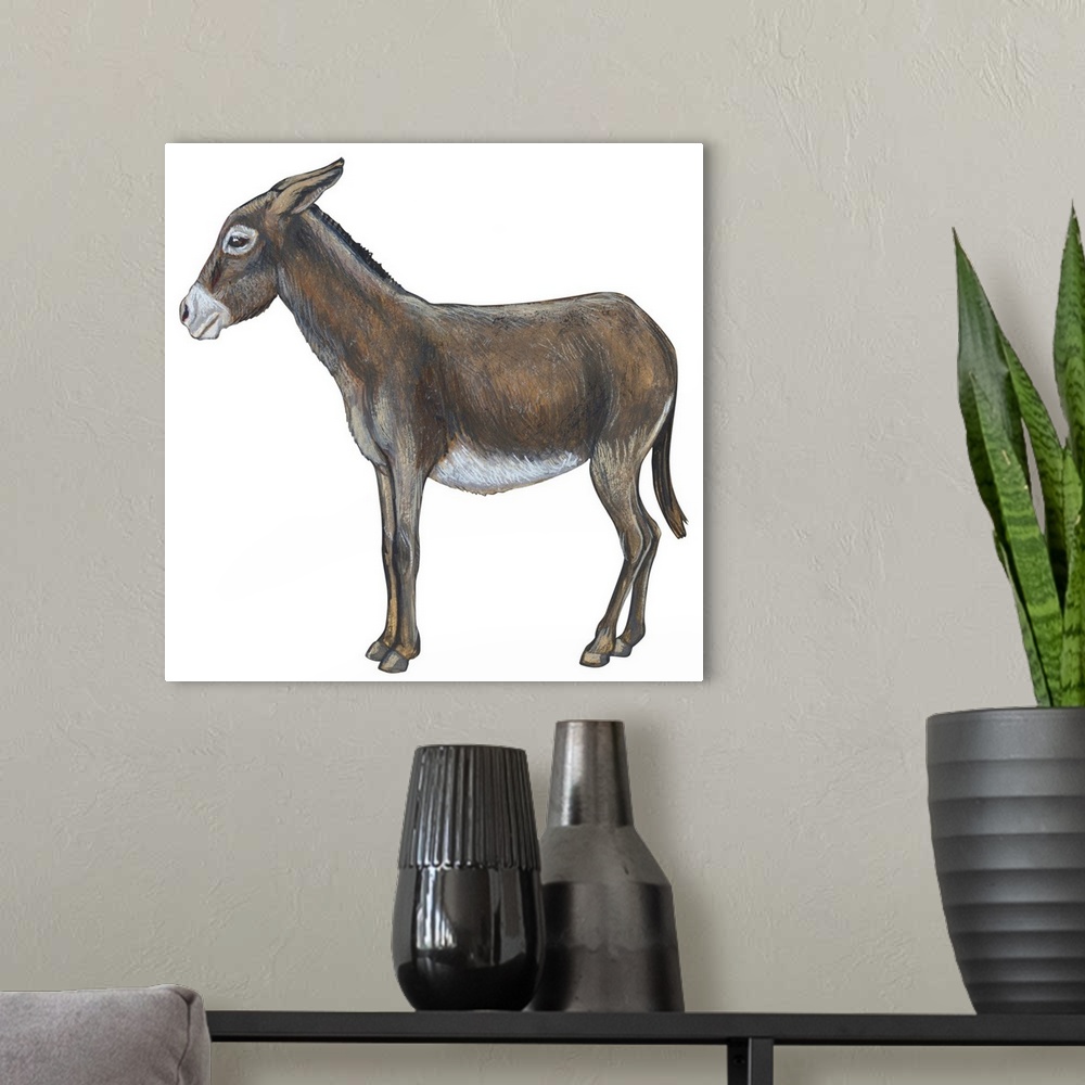 A modern room featuring Donkey (Equus Asinus)