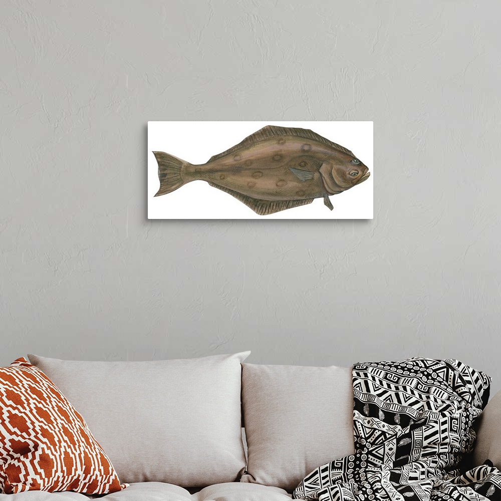 A bohemian room featuring Halibut (Hippoglossus Hippoglossus)