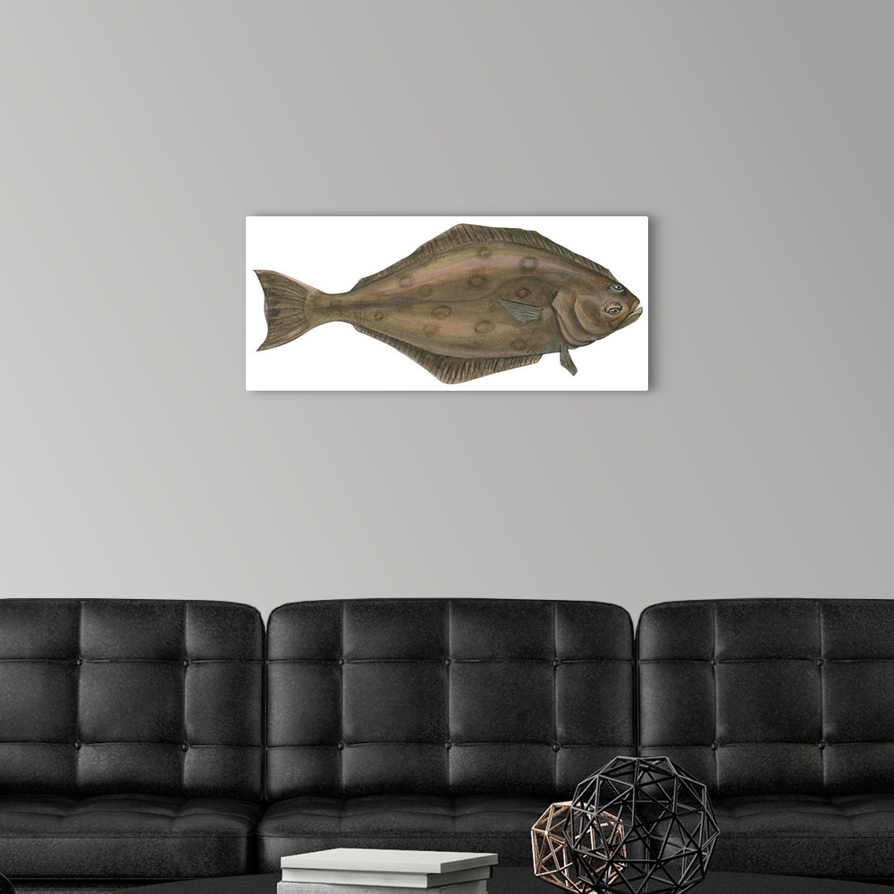 A modern room featuring Halibut (Hippoglossus Hippoglossus)
