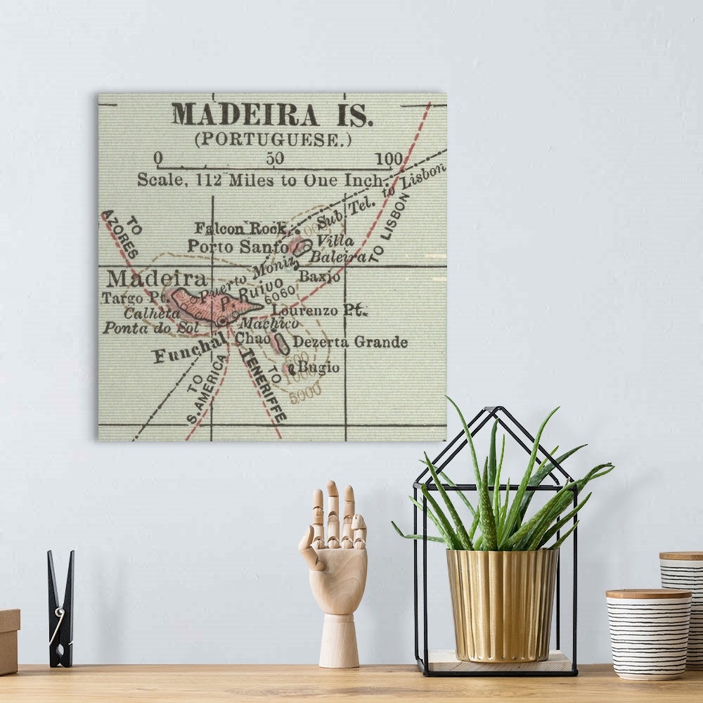 A bohemian room featuring Madeira Islands - Vintage Map