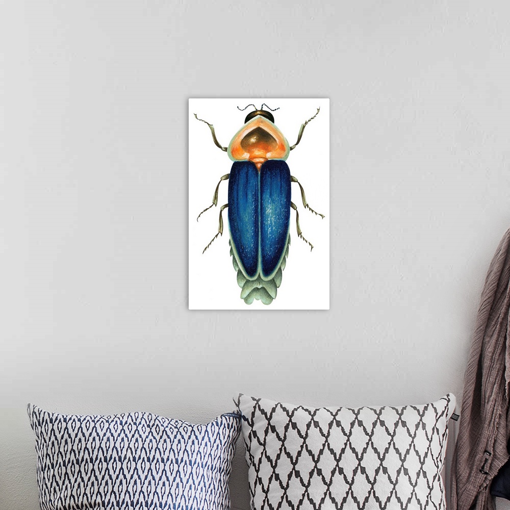 A bohemian room featuring Male Firefly (Lampyridae)