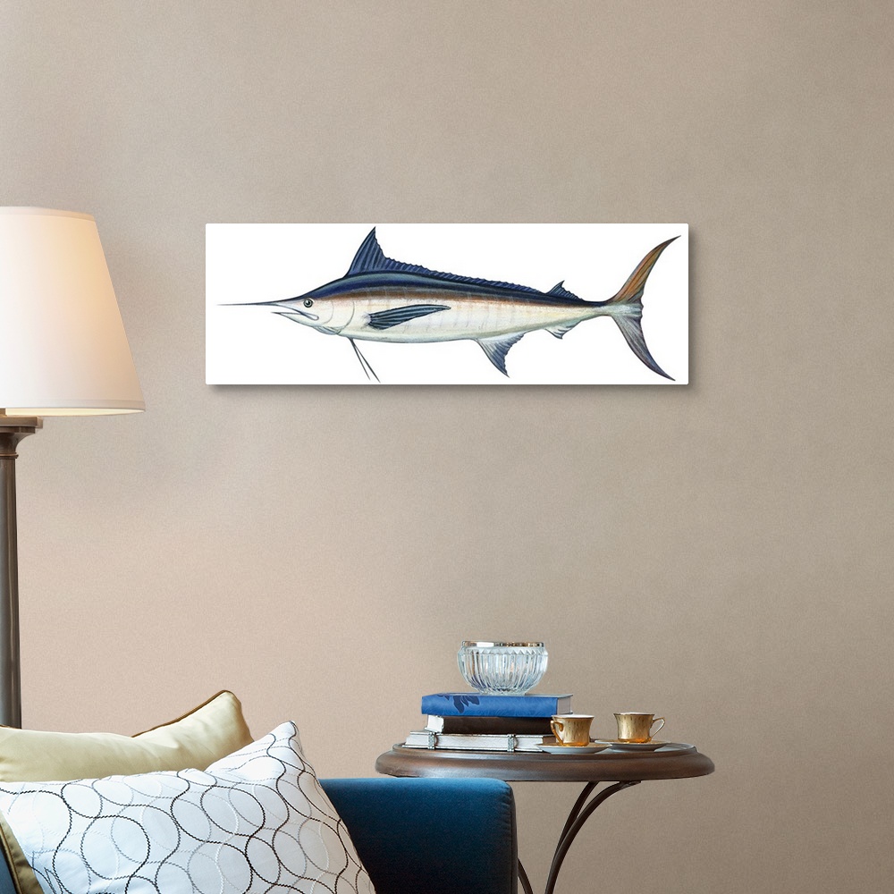 A traditional room featuring Marlin (Makaira Nigricans), Blue Marlin