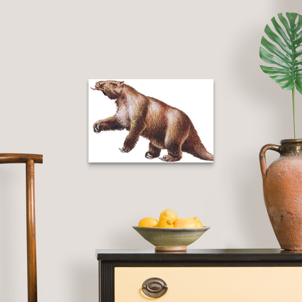 A traditional room featuring Megatherium, Extinct Ground Sloth
