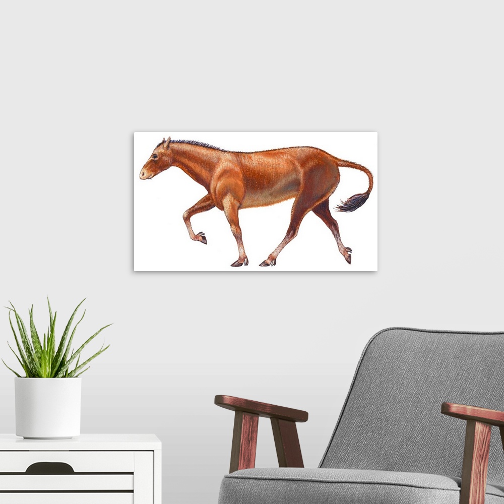 A modern room featuring Mesohippus, Extinct Horse
