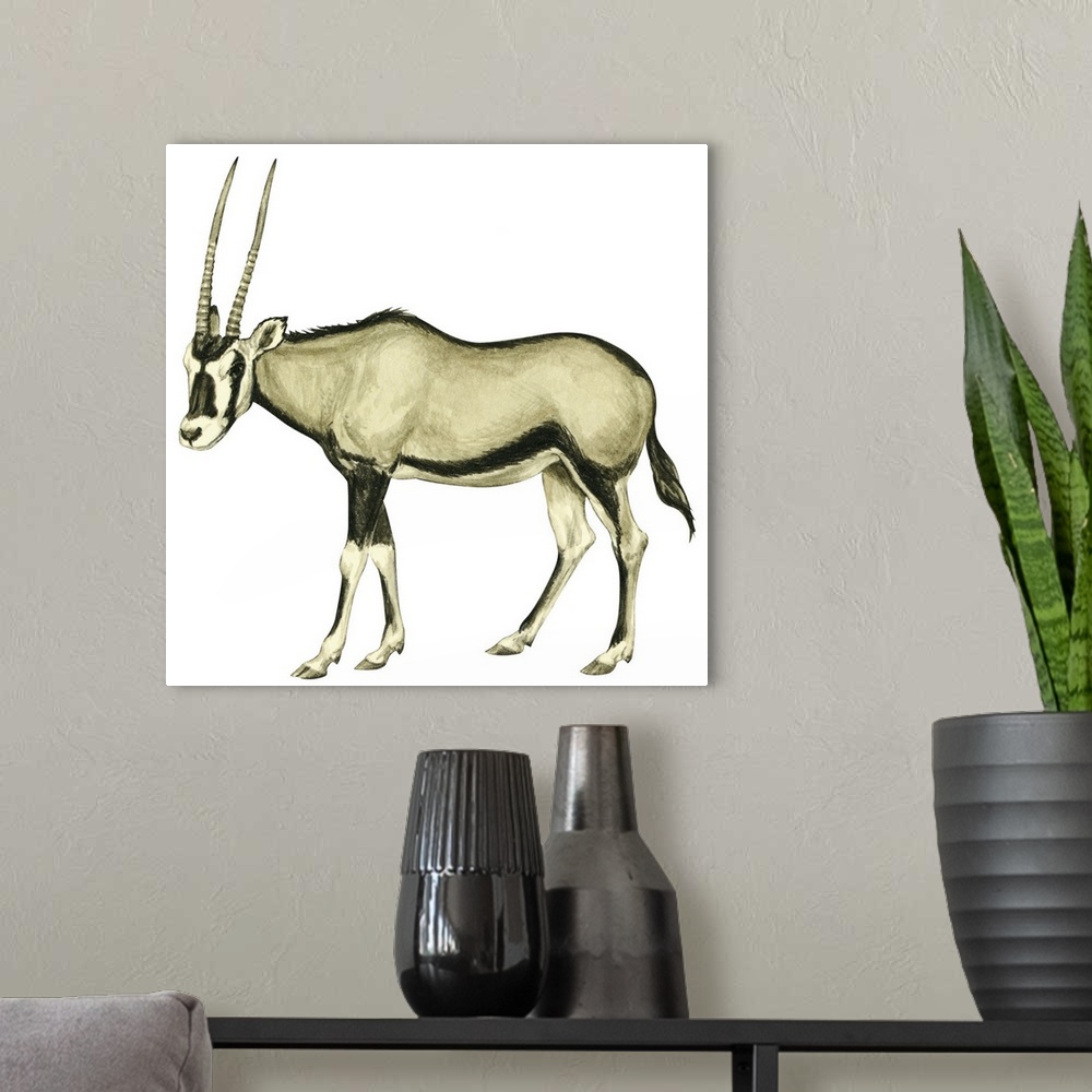 A modern room featuring Oryx (Oryx Gazella)