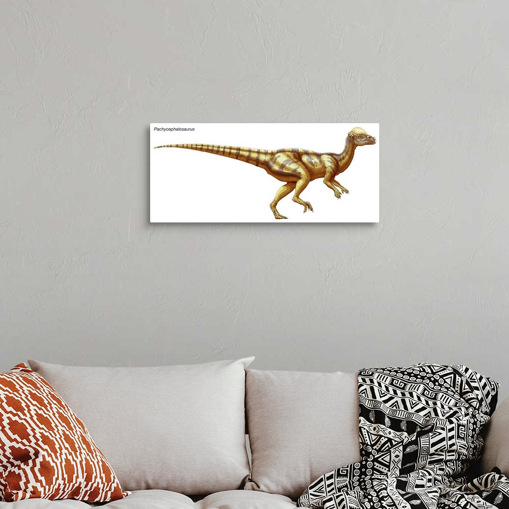 A bohemian room featuring An illustration from Encyclopaedia Britannica of the dinosaur Pachycephalosaurus.