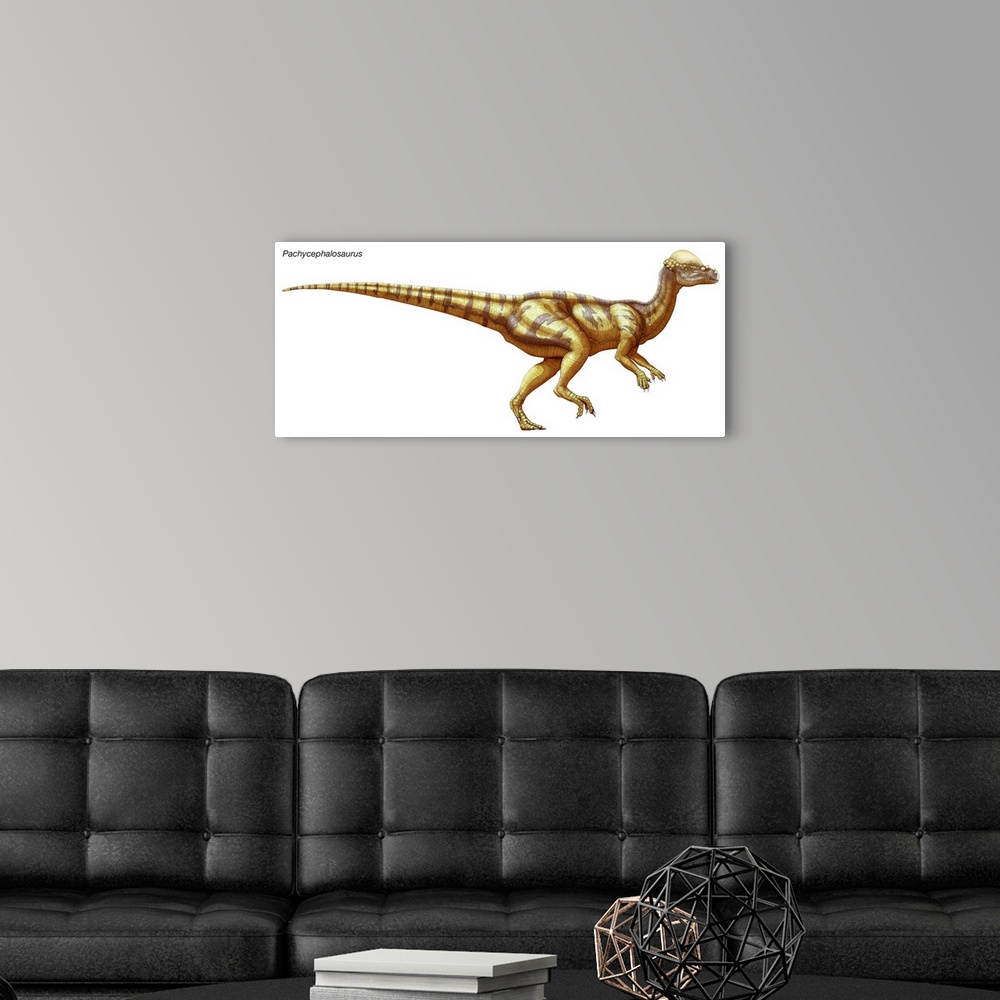 A modern room featuring An illustration from Encyclopaedia Britannica of the dinosaur Pachycephalosaurus.