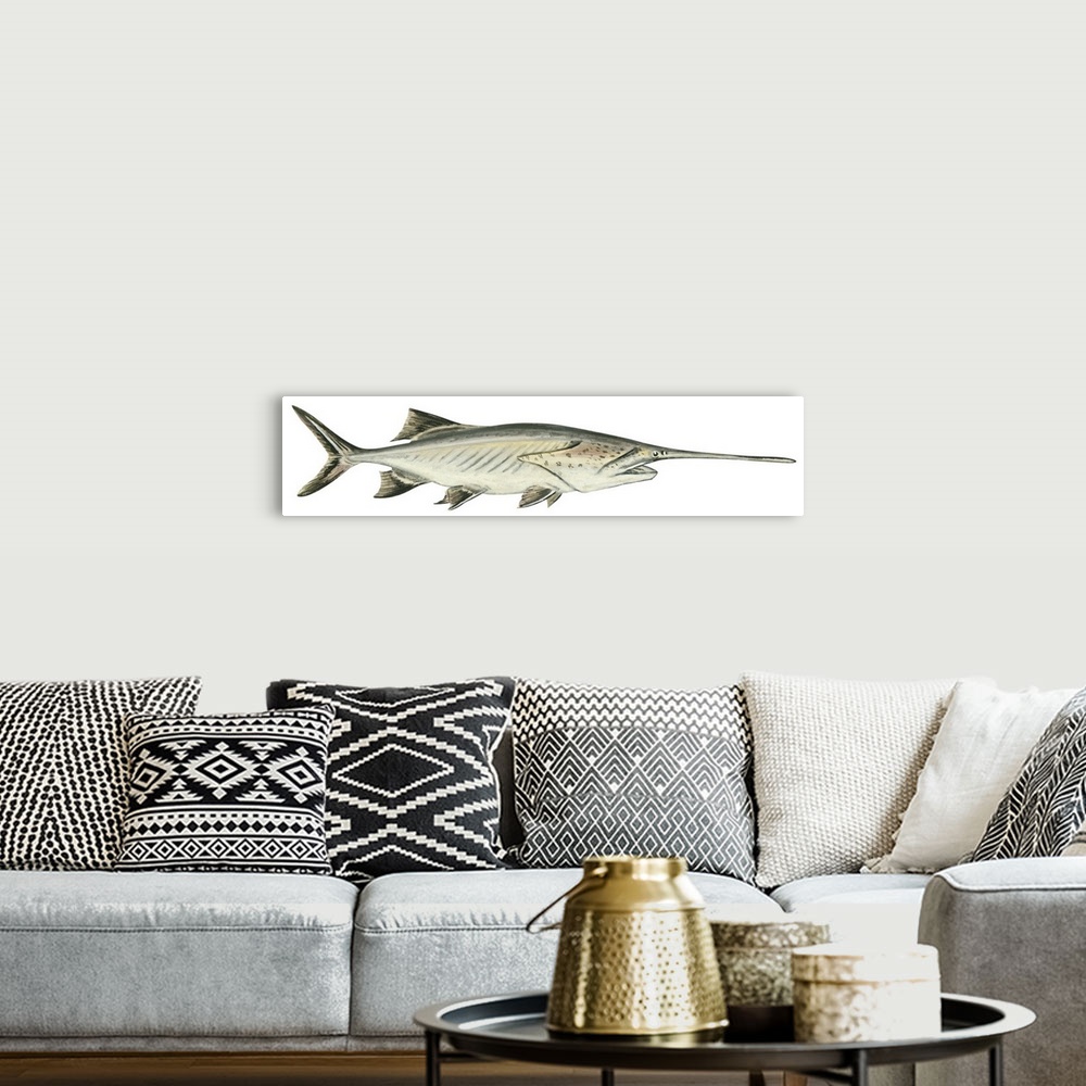 A bohemian room featuring Paddlefish (Polyodon Spathula)