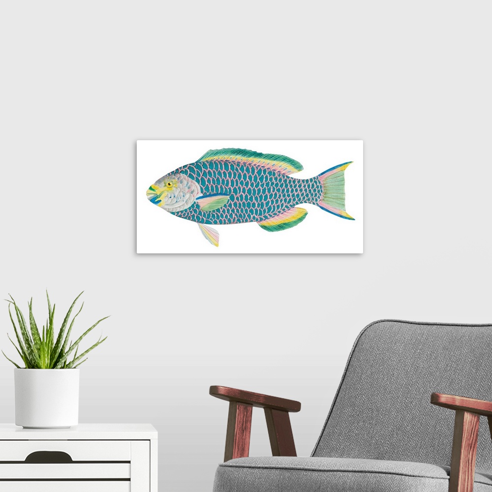 A modern room featuring Queen Parrot Fish (Scarus Vetula)