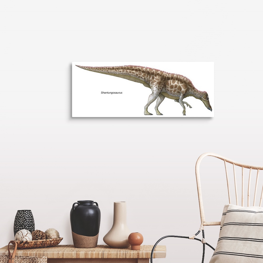 A farmhouse room featuring An illustration from Encyclopaedia Britannica of the dinosaur Shantungosaurus.